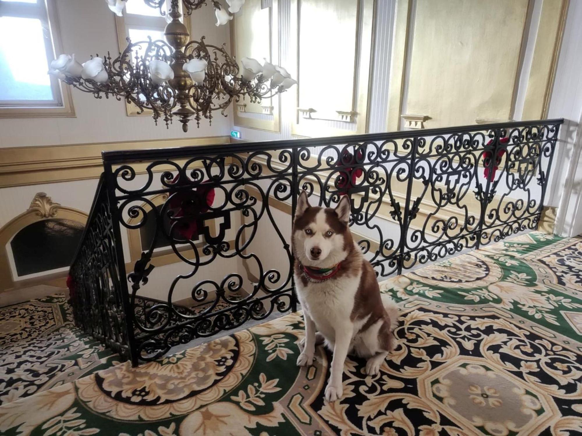 Korona Hotel Ньїредьгаза Екстер'єр фото